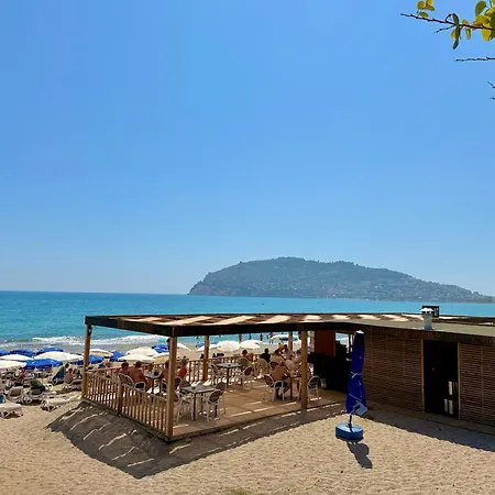 Sa Apartments! Sea View Beachfront * אלאניה